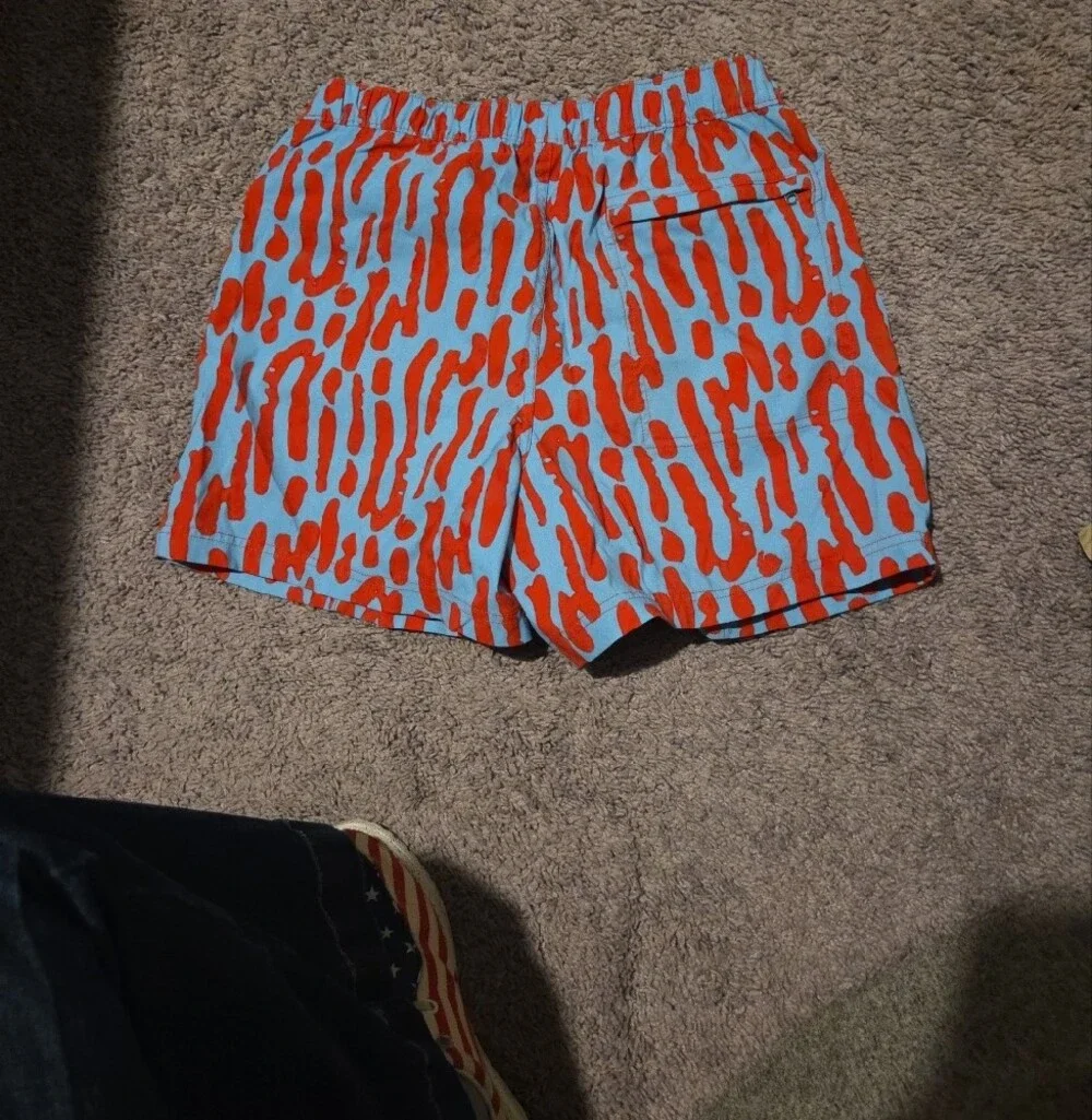 The North Face Men's Printed Class V Pull-On Shorts
